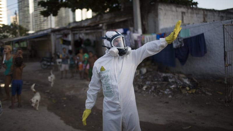 Illustration for article titled The US Should Expect 'Limited' Outbreaks of the Zika Virus