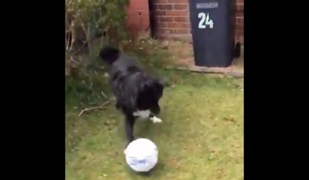 fc5v1irbjfwhwikcfuu6.jpg