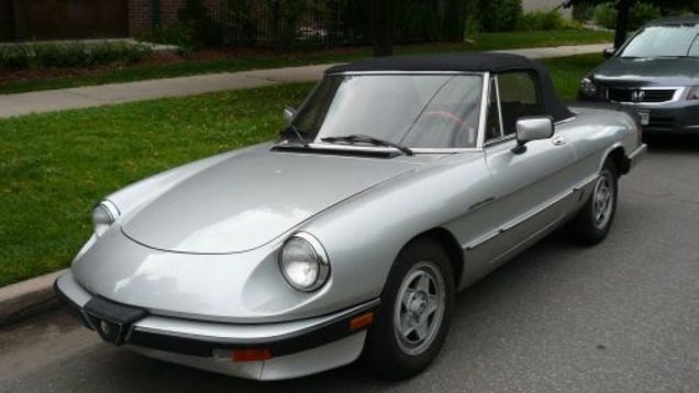 1984 Alfa Romeo Spider Veloce