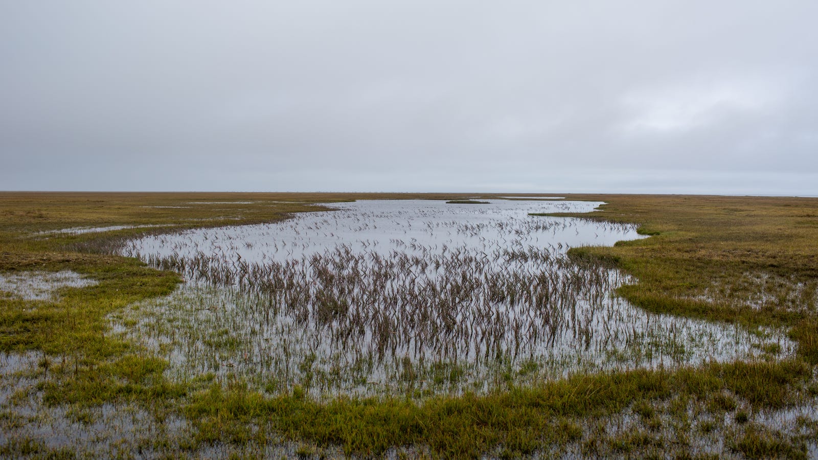 As Alaska Thaws, Everything Changes
