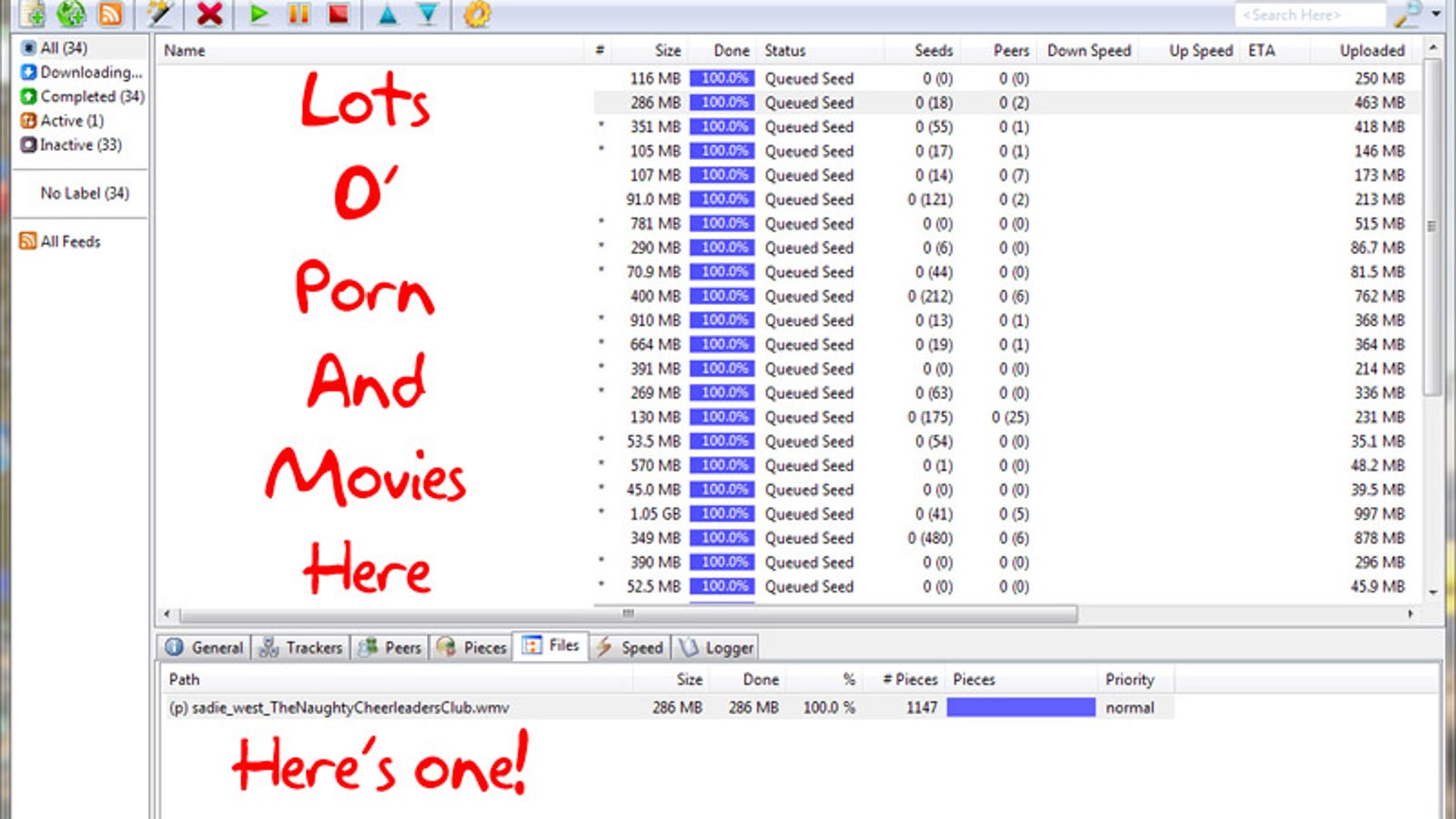 what can you do with bittorrent pro