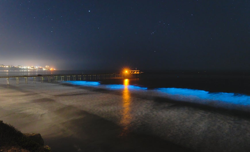 Bioluminescent Waves Draw Crowds to California Beaches Gizmodo UK
