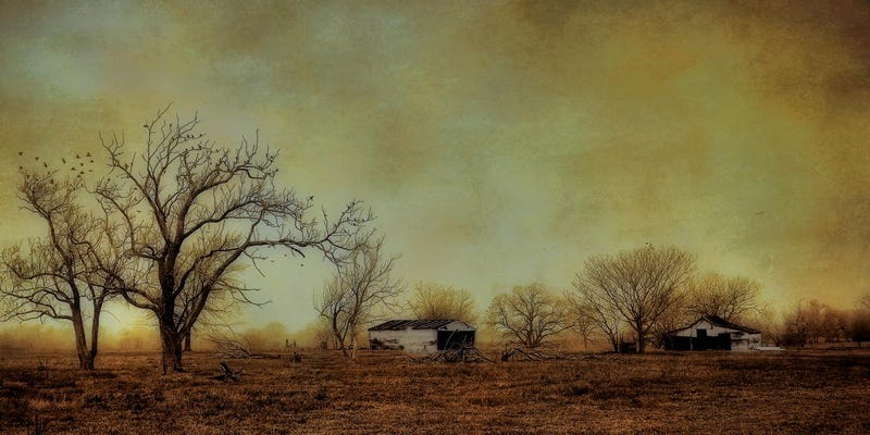 Illustration for article titled Extreme Droughts Weaken Trees' Ability to Soak Up Carbon