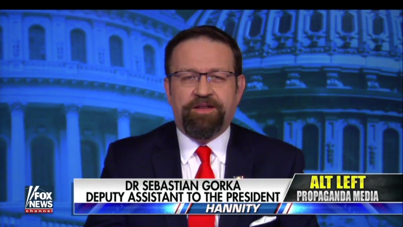 Screenshot via Fox News