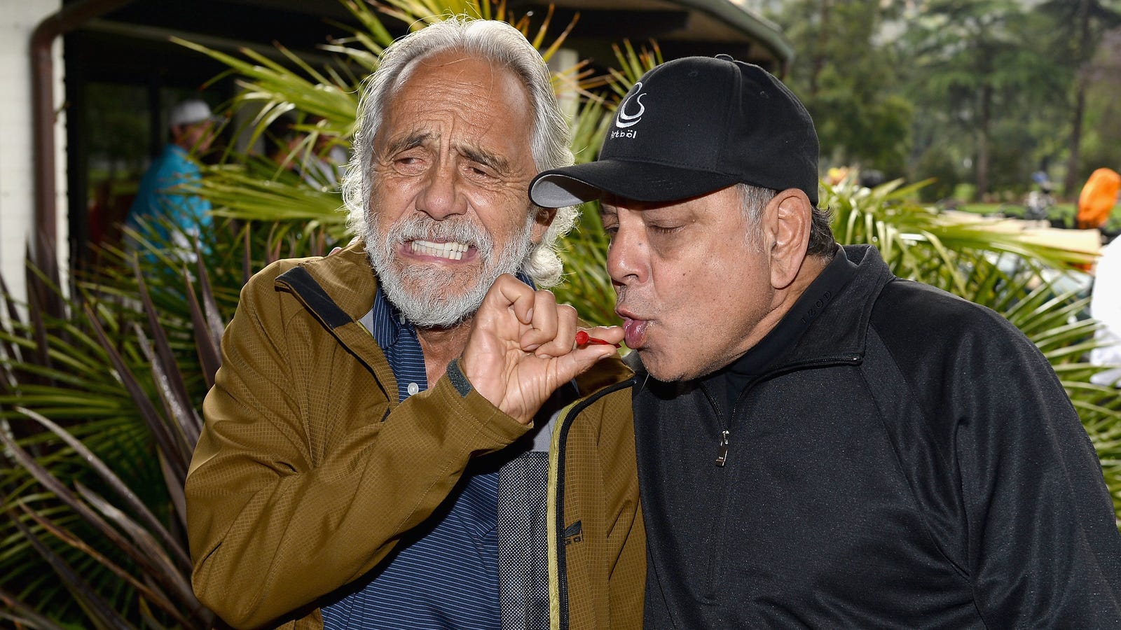 Everything is a lie: Cheech and Chong were sober on the ...