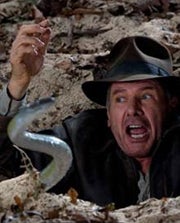 Illustration for article titled Rumor: More Info on Unannounced DS/PSP Indiana Jones Game