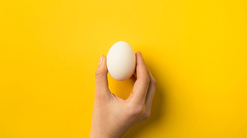 Illustration for article titled PETA says you can’t call yourself a feminist if you eat eggs