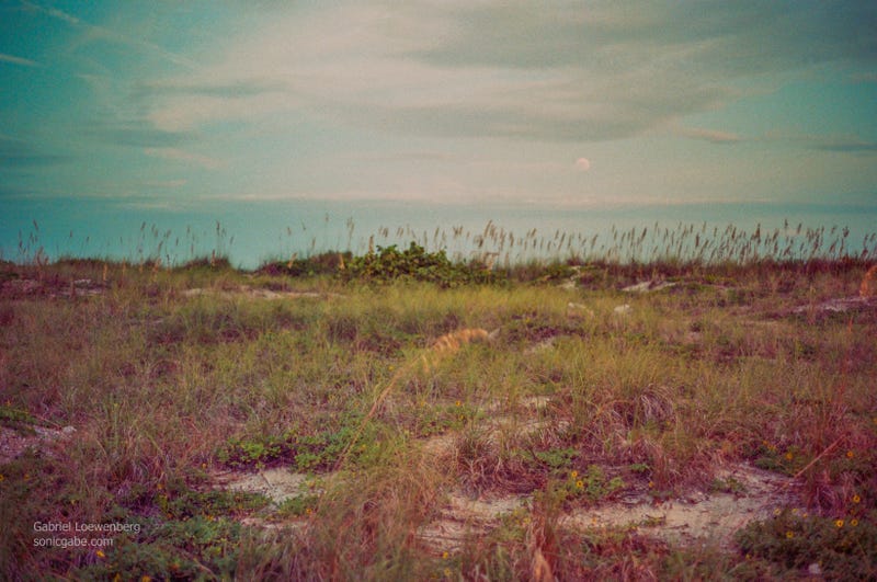 Illustration for article titled Film From The Minolta XG-M Is Back, Plus A Super Moon