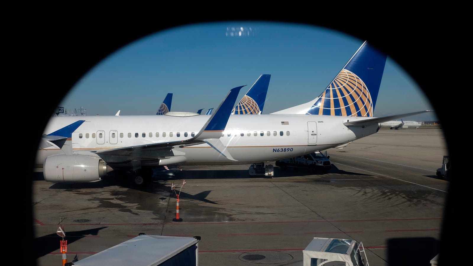 After Puppy Dies In Overhead Bin United Airlines