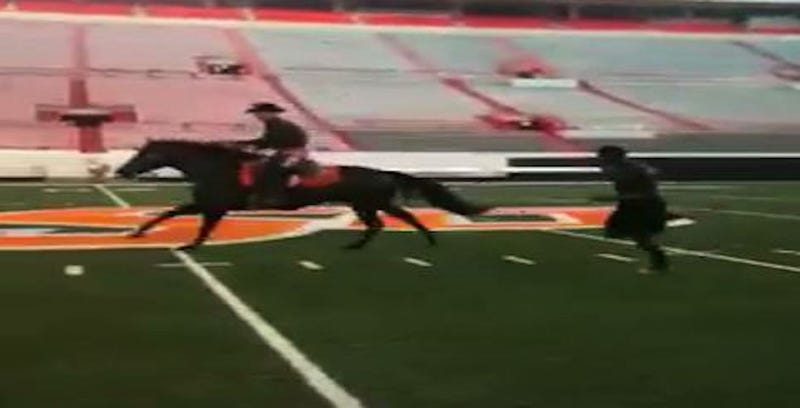 Illustration for article titled Here Are Videos Of Dez Bryant Racing A Horse In College