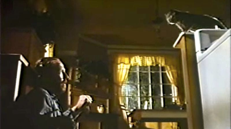 Illustration for article titled It’s time to remake the 1991 killer-cat movie Strays
