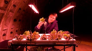 Illustration for article titled Underground Farm Is Ready For Apocalyptic Salads