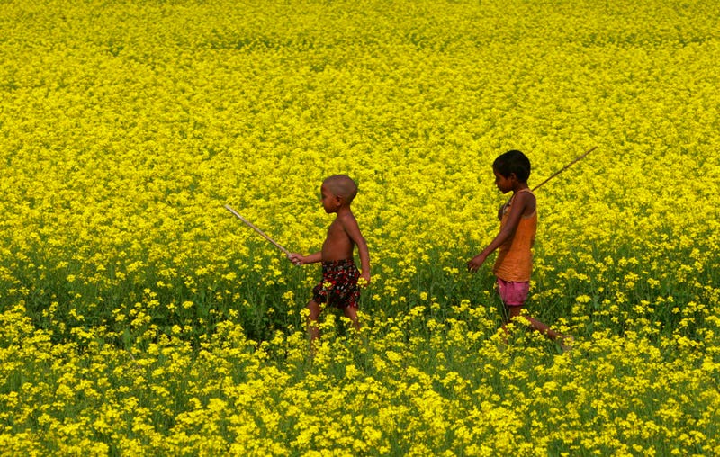 Illustration for article titled Children Of The Mustard