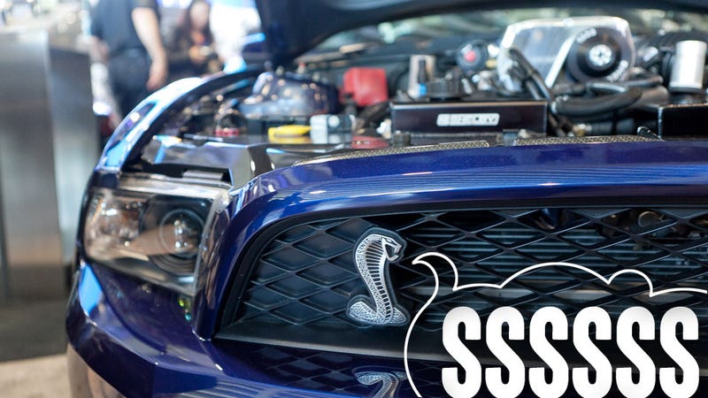 Illustration for article titled 2013 Shelby 1000: Because Carroll Wants 1000 HP Before He Dies