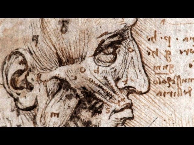 A Glimpse Into the Archives of Da Vinci's Anatomical Drawings