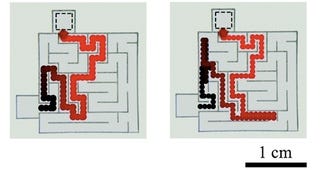 Illustration for article titled How To Make An Oil Droplet Act Like A Mouse