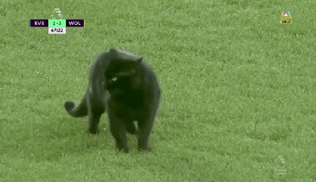 vcn04u6g0gdt7afp0yi4.gif