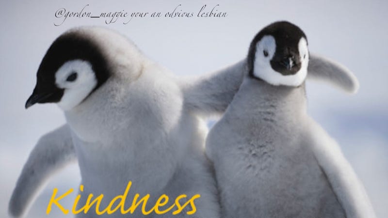 Illustration for article titled Today In Jose Canseco Tweets As Motivational Posters: Kindness