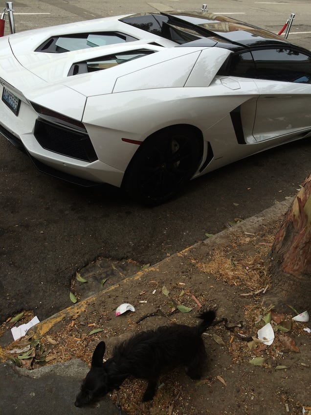 Marshawn Lynch Apparently Ropes Off His Lamborghini When He Parks