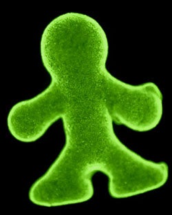 Illustration for article titled Scientists Grow Doll Out of Living Cells, Complex Organisms Next