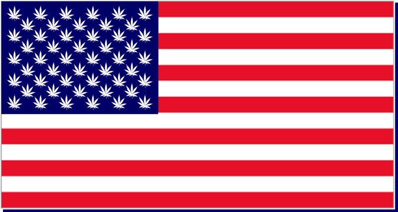 Illustration for article titled Marijuana Legalization Could Keep Democrats In Control Of The Senate
