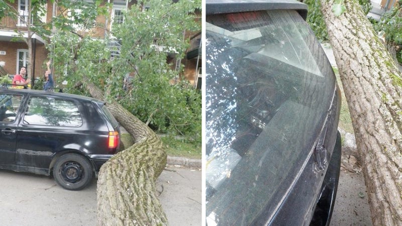 Illustration for article titled This Is The Luckiest Parking Spot Ever