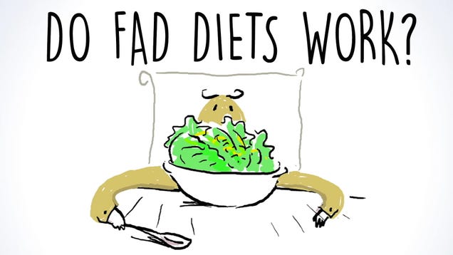 Why Fad Diets Dont Work And How To Spot Them Sig Nordal Jr 0975