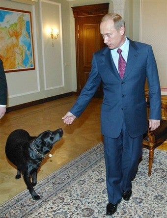 Illustration for article titled Vladimir Putin Tests Russian GPS on His Own Dog
