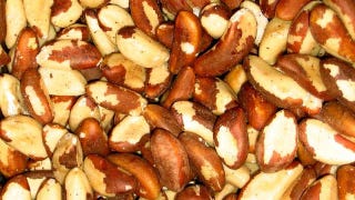 Illustration for article titled Woman nearly dies from allergic reaction to sexually-transmitted brazil nuts