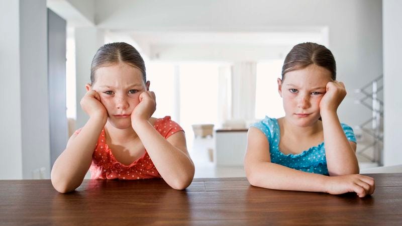 Illustration for article titled 8 Things Twins Are Tired Of Hearing