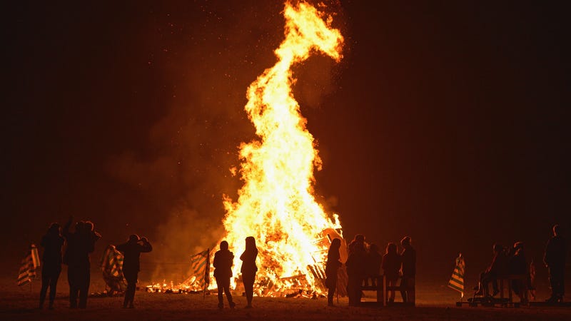 Don T Burn Driftwood At The Beach Or Anywhere