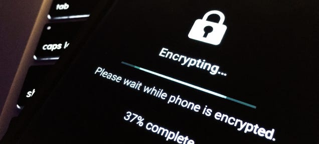 photo of A New Bill Could Stop State-Level Encryption Bans image