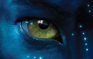 Illustration for article titled Avatar = Dances with Wolves v. 2.0?