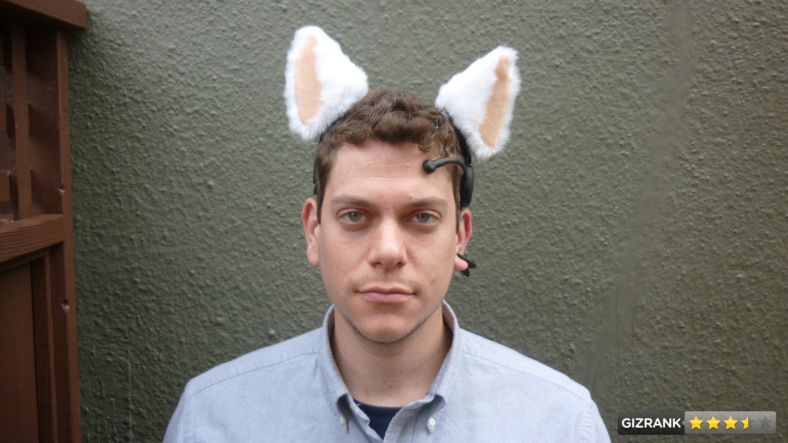 Necomimi Brainwave Cat Ears Review: Why You Need Psychic Cyborg Animal Ears