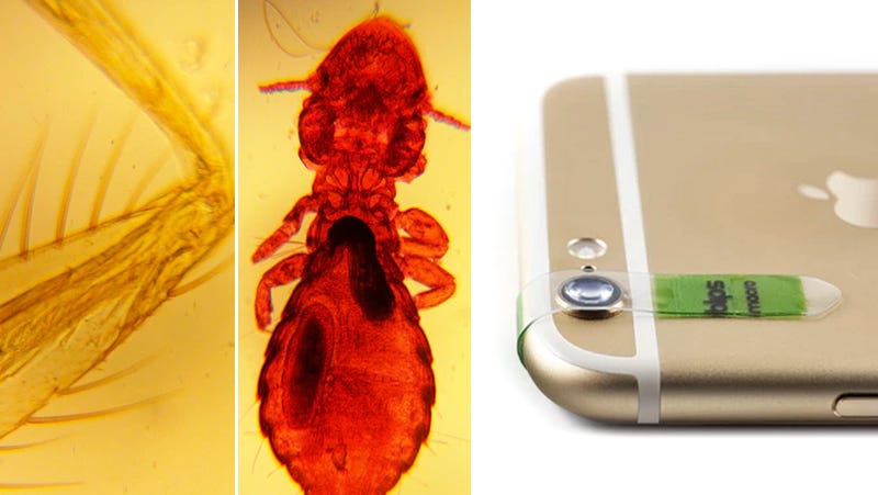Illustration for article titled Stick-On Lenses Turn Your Phone Camera Into a Microscope