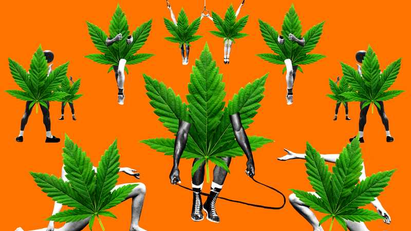 Illustration for article titled The Latest Iffy Wellness Trend Is CBD-Infused Workout Gear