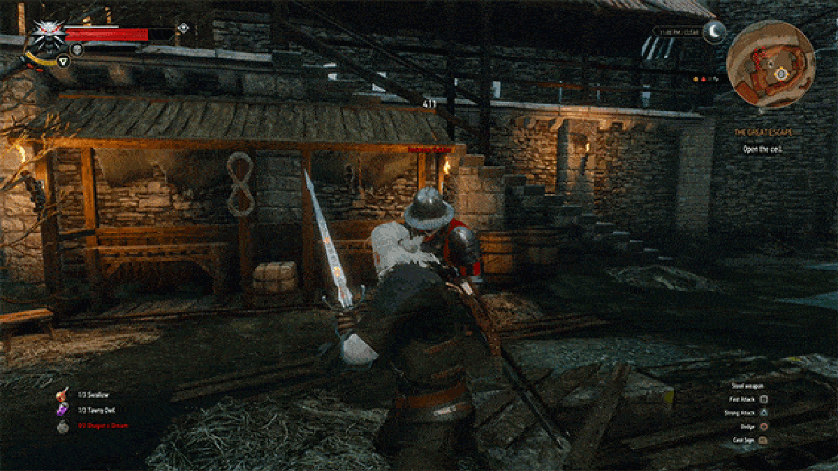 Witcher Witcher