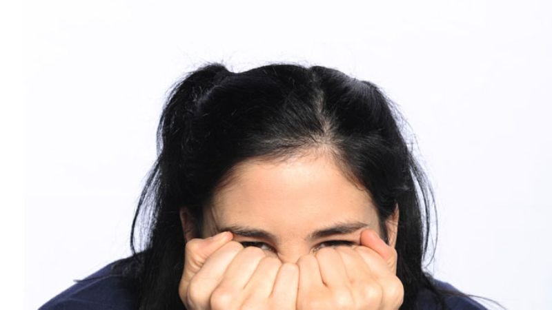 Illustration for article titled The Sarah Silverman Program: "Wowschwitz"