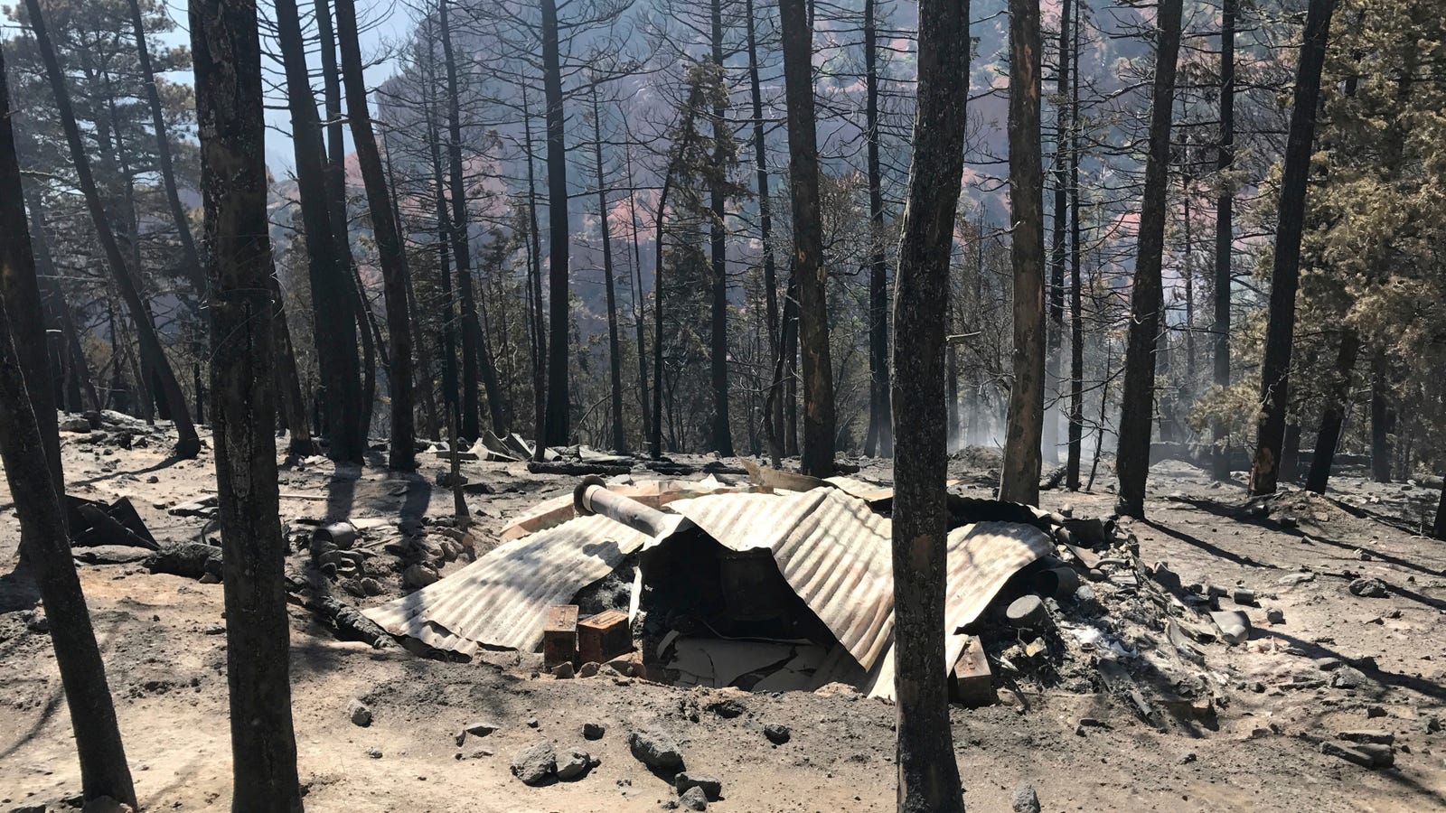 Doomsday Prepper's Sketchy, AmmoFilled Bunker Destroyed by Regular Old