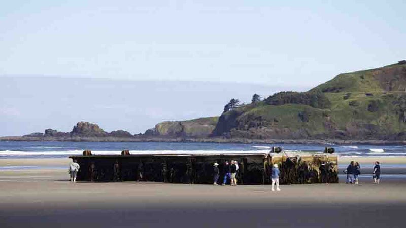 Illustration for article titled Massive Dock From Japanese Tsunami Washes Up in Oregon