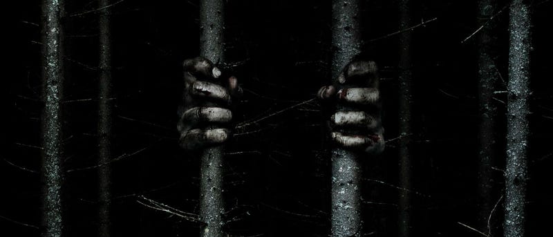 Illustration for article titled If You're Going to Watch This Trailer for The Woods, Keep the Lights On