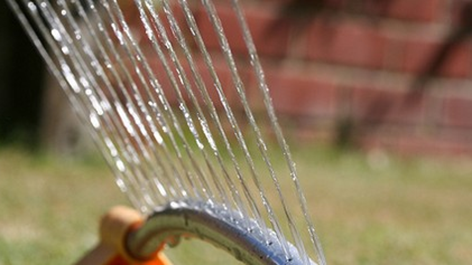 automatic watering seedlings sprinkler