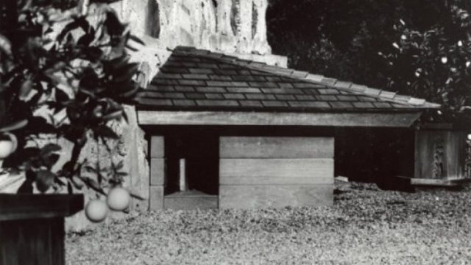 the-dog-house-frank-lloyd-wright-built