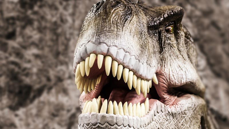 the truth about t rex