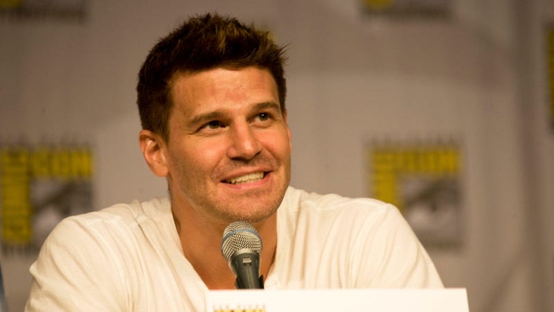 Save us, David Boreanaz.