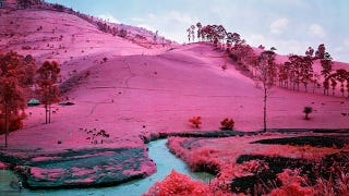 Infrared Film Can Make Even a Warzone Look Beautiful