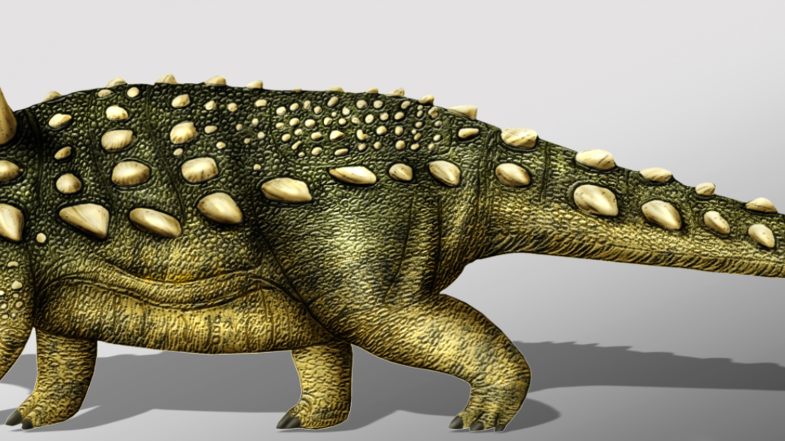 dinosaurs with head armour