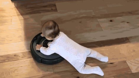 How To Ensure Your Roomba Doesn T Make A Pet Mess Worse