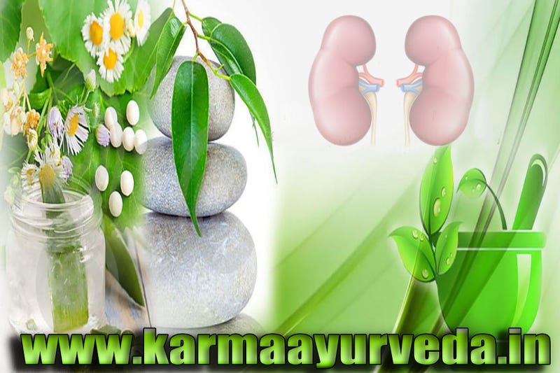 Illustration for article titled Get Best Kidney
treatment in Ayurveda in India, Delhi | Karma Ayurveda