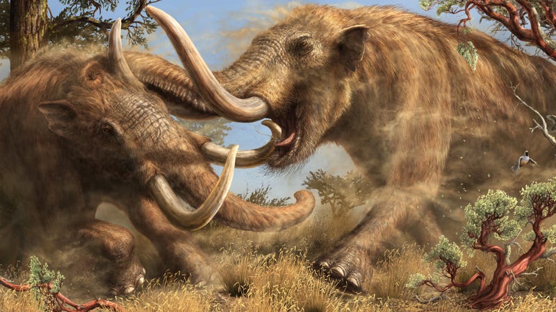 Illustration pour un article intitulé Cette espèce nouvellement découverte de Mastodon a erré en Californie pendant des millions d'années